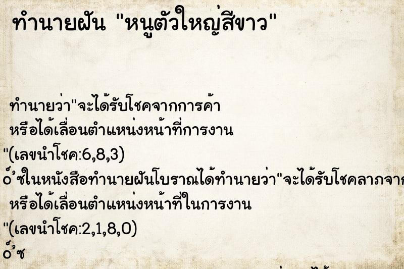 ทำนายฝัน หนูตัวใหญ่สีขาว