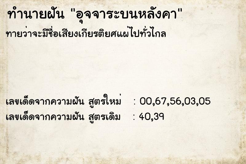 ทำนายฝันอุจจาระบนหลังคา ทำนายฝันทำนายฝันอุจจาระบนหลังคา