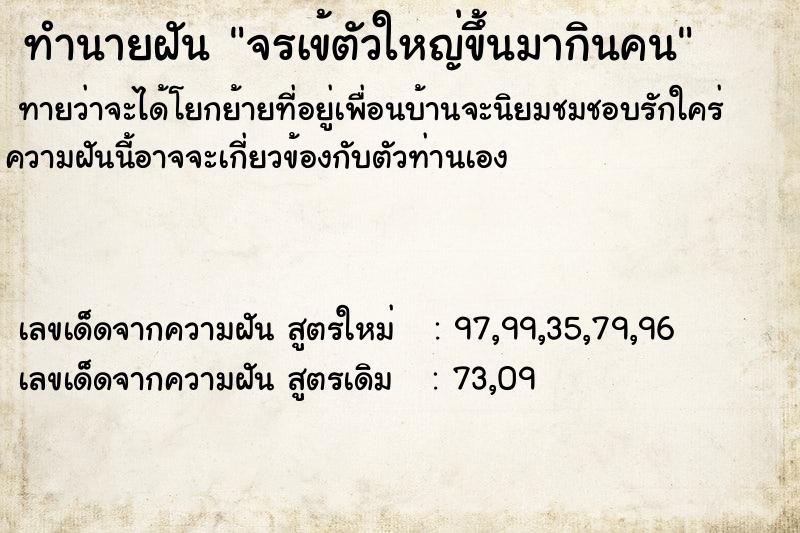 ทำนายฝันจรเข้ตัวใหญ่ขึ้นมากินคน ทำนายฝันทำนายฝันจรเข้ตัวใหญ่ขึ้นมากินคน