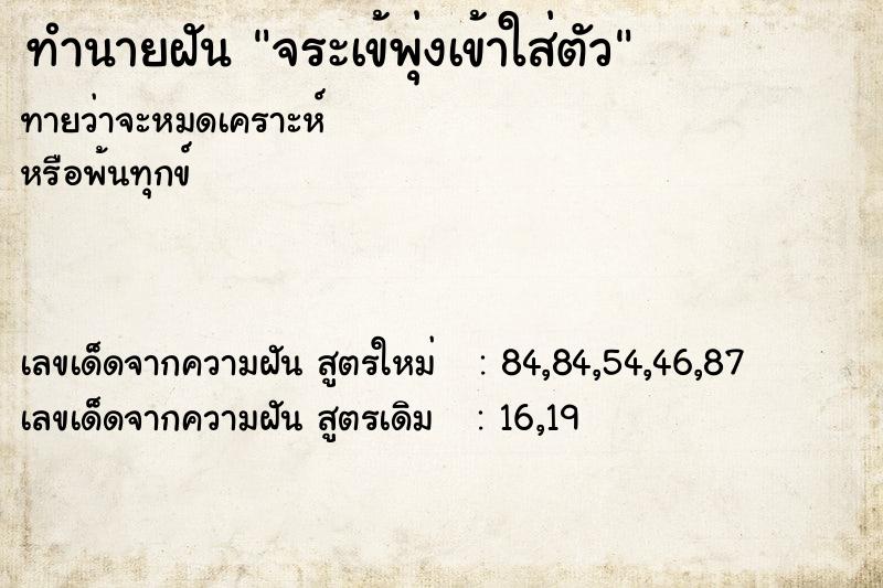 ทำนายฝันจระเข้พุ่งเข้าใส่ตัว ทำนายฝันทำนายฝันจระเข้พุ่งเข้าใส่ตัว