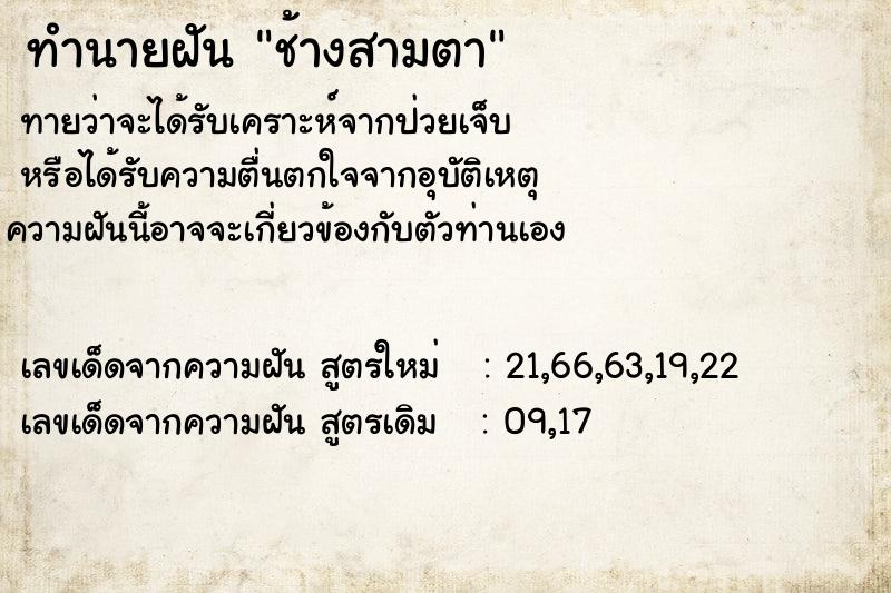 ทำนายฝัน ช้างสามตา ทำนายฝัน ช้างสามตา
