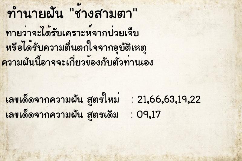 ทำนายฝัน ช้างสามตา ตำราโบราณ แม่นที่สุดในโลก