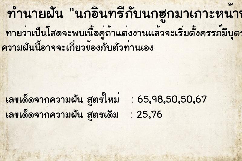 ทำนายฝันนกอินทรีกับนกฮูกมาเกาะหน้าบ้าน ทำนายฝันทำนายฝันนกอินทรีกับนกฮูกมาเกาะหน้าบ้าน