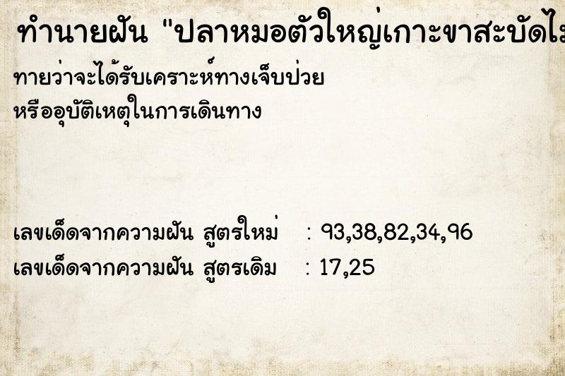 ทำนายฝันปลาหมอตัวใหญ่เกาะขาสะบัดไม่ออก ทำนายฝันทำนายฝันปลาหมอตัวใหญ่เกาะขาสะบัดไม่ออก