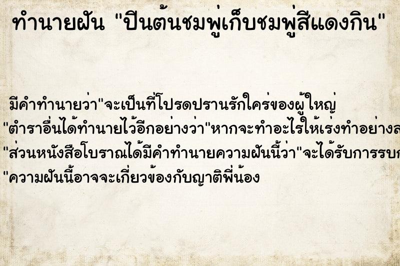 ทำนายฝัน ปีนต้นชมพู่เก็บชมพู่สีแดงกิน ทำนายฝัน ปีนต้นชมพู่เก็บชมพู่สีแดงกิน