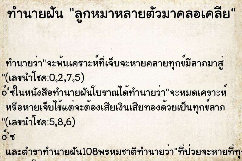 ทำนายฝัน ลูกหมาหลายตัวมาคลอเคลีย ทำนายฝัน ลูกหมาหลายตัวมาคลอเคลีย