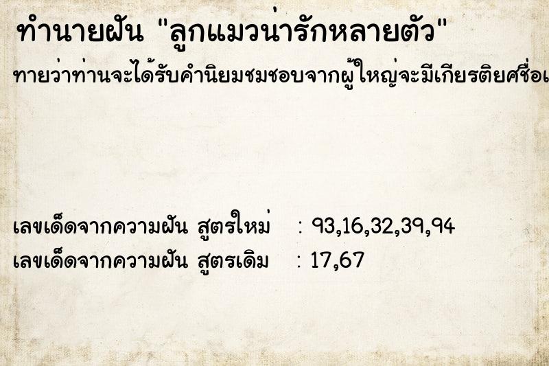 ทำนายฝันทำนายฝันลูกแมวน่ารักหลายตัว