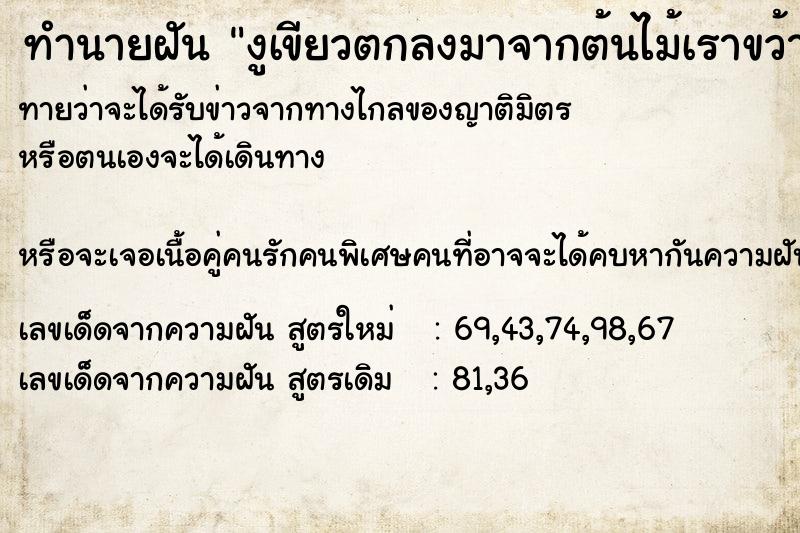 ทำนายฝัน งูเขียวตกลงมาจากต้นไม้เราขว้างงูทิ้งแล้ววิ่งหนี ทำนายฝัน งูเขียวตกลงมาจากต้นไม้เราขว้างงูทิ้งแล้ววิ่งหนี