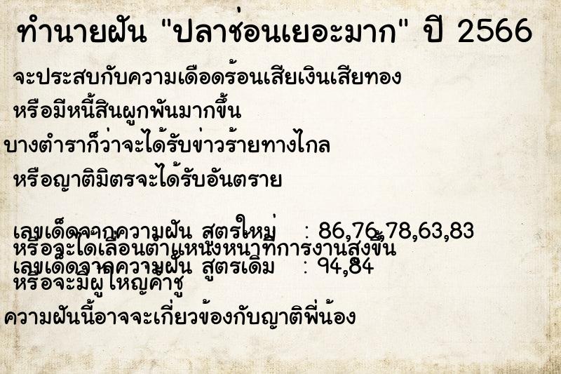 ทำนายฝัน ปลาช่อนเยอะมาก ทำนายฝัน ปลาช่อนเยอะมาก
