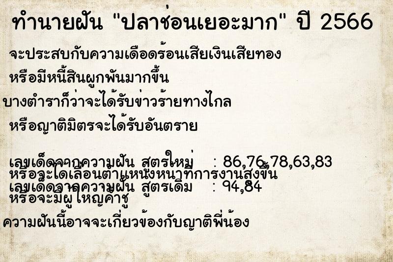 ทำนายฝัน ปลาช่อนเยอะมาก ตำราโบราณ แม่นที่สุดในโลก