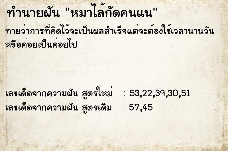 ทำนายฝันหมาไล้กัดคนแน ทำนายฝันทำนายฝันหมาไล้กัดคนแน
