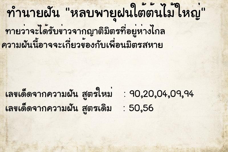 ทำนายฝันทำนายฝันหลบพายุฝนใต้ต้นไม้ใหญ่