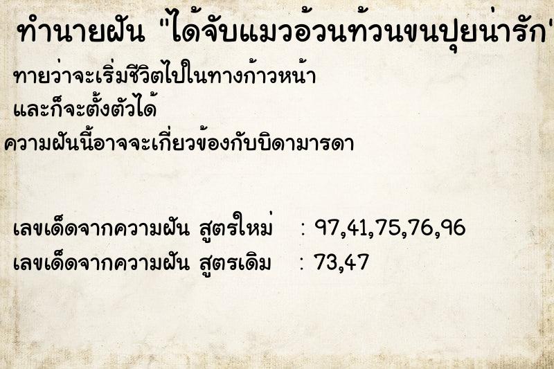 ทำนายฝันทำนายฝันได้จับแมวอ้วนท้วนขนปุยน่ารัก