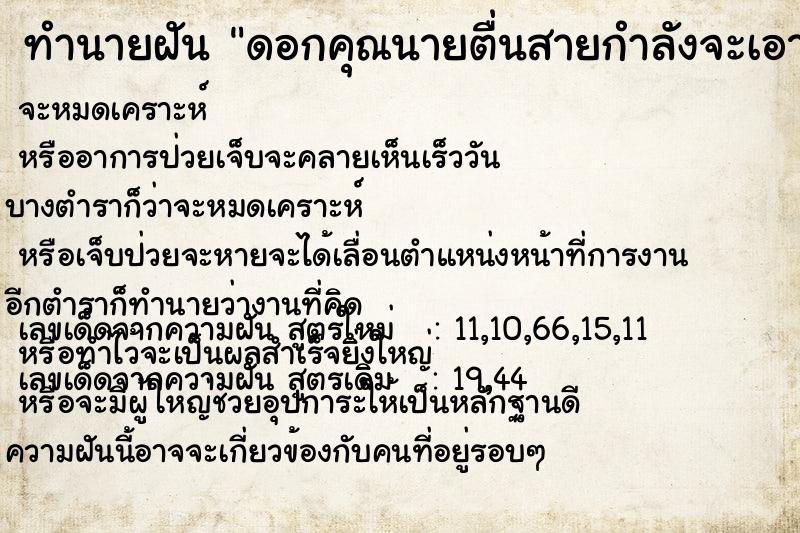ทำนายฝัน ดอกคุณนายตื่นสายกำลังจะเอาไปปลูก ทำนายฝัน ดอกคุณนายตื่นสายกำลังจะเอาไปปลูก