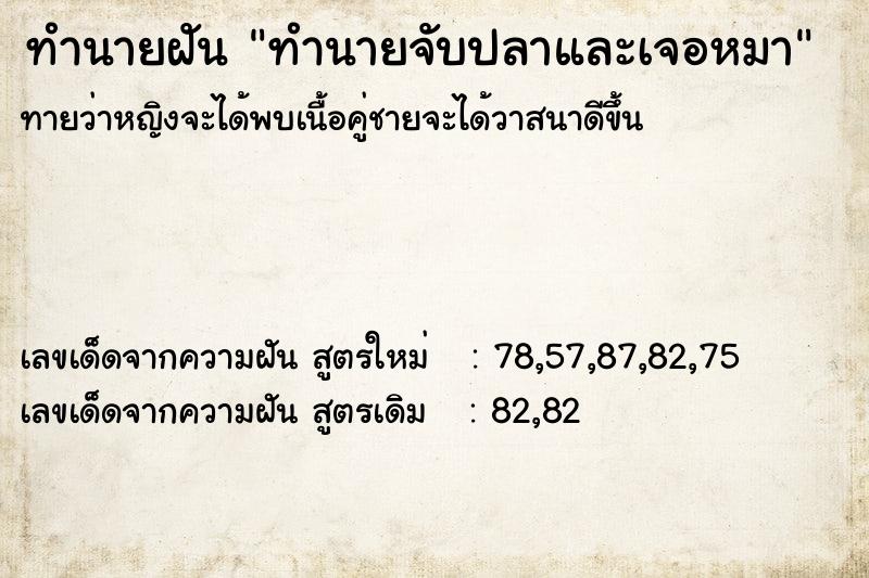 ทำนายฝันทำนายฝันทำนายจับปลาและเจอหมา