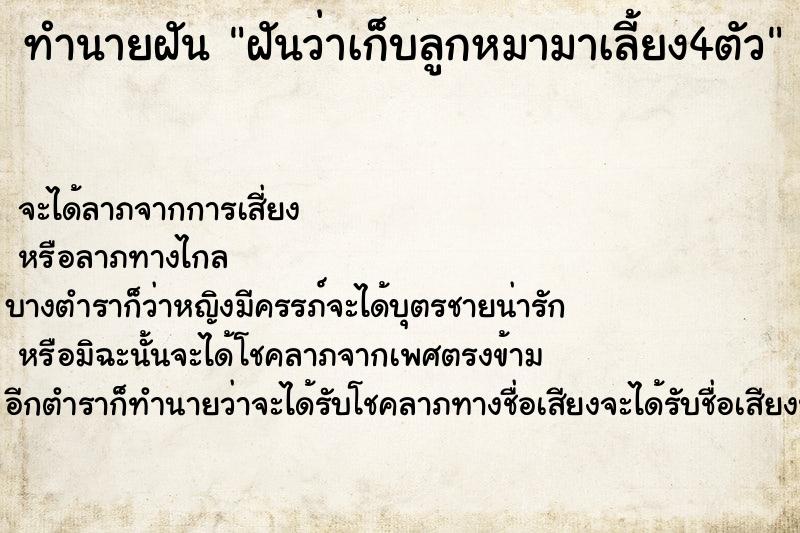 ทำนายฝันฝันว่าเก็บลูกหมามาเลี้ยง4ตัว ทำนายฝันทำนายฝันฝันว่าเก็บลูกหมามาเลี้ยง4ตัว