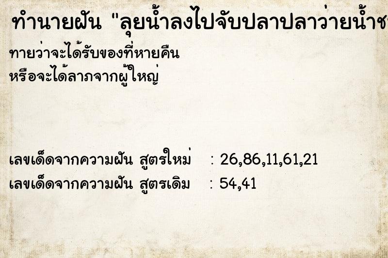 ทำนายฝันทำนายฝันลุยน้ำลงไปจับปลาปลาว่ายน้ำชนขาเยอะมาก