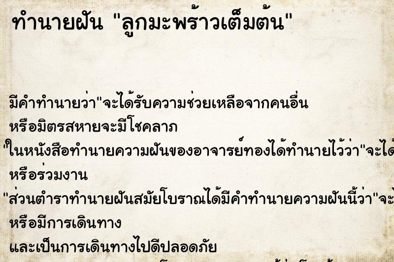 ทำนายฝัน ลูกมะพร้าวเต็มต้น ทำนายฝัน ลูกมะพร้าวเต็มต้น