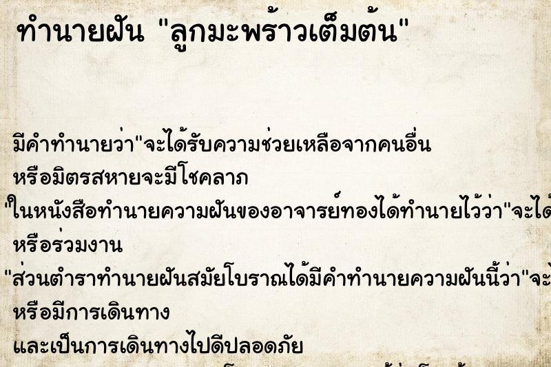 ทำนายฝัน ลูกมะพร้าวเต็มต้น ตำราโบราณ แม่นที่สุดในโลก