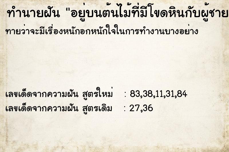 ทำนายฝันทำนายฝันอยู่บนต้นไม้ที่มีโขดหินกับผู้ชาย