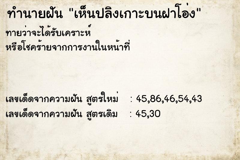ทำนายฝันทำนายฝันเห็นปลิงเกาะบนฝาโอ่ง