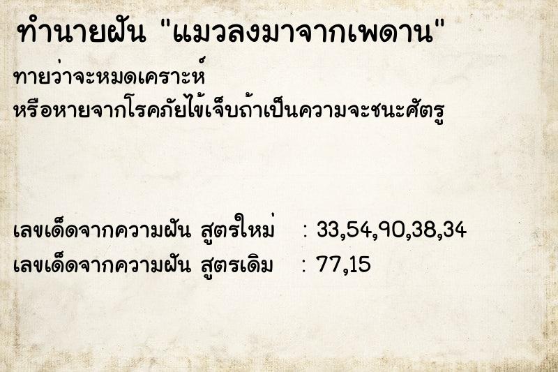 ทำนายฝันทำนายฝันแมวลงมาจากเพดาน