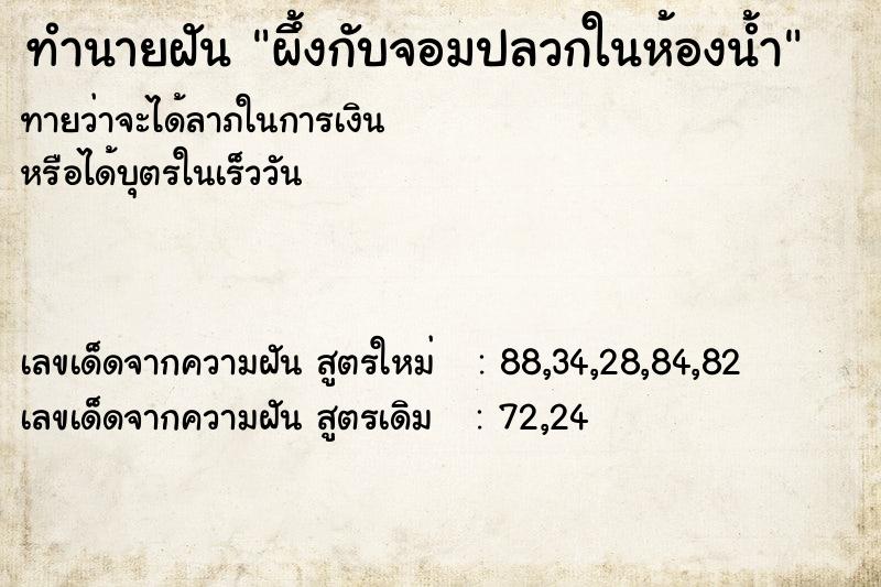 ทำนายฝันผึ้งกับจอมปลวกในห้องน้ำ ทำนายฝันทำนายฝันผึ้งกับจอมปลวกในห้องน้ำ