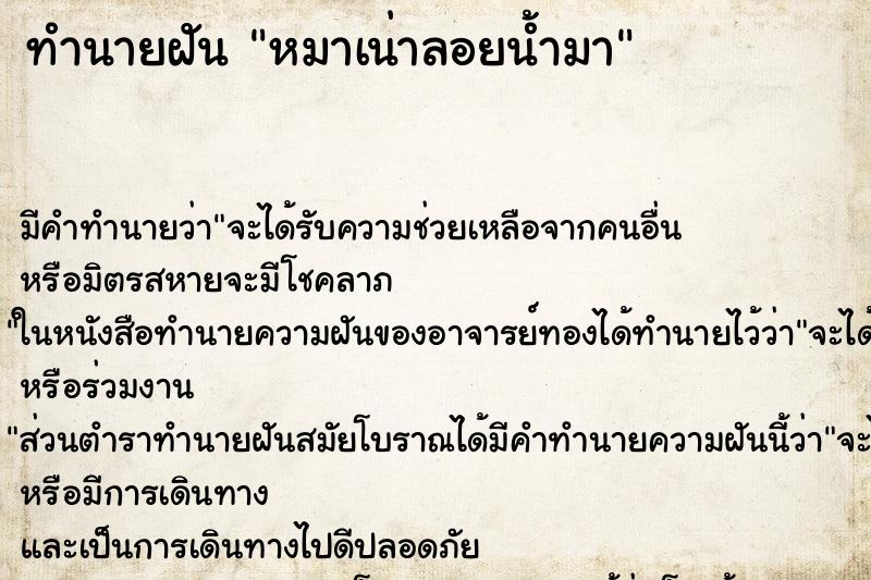 ทำนายฝัน หมาเน่าลอยน้ำมา ทำนายฝัน หมาเน่าลอยน้ำมา