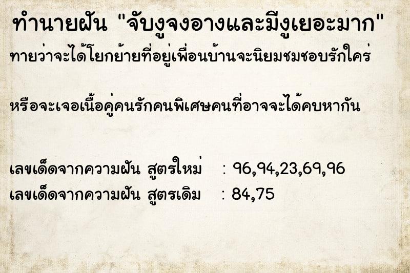 ทำนายฝัน จับงูจงอางและมีงูเยอะมาก ทำนายฝัน จับงูจงอางและมีงูเยอะมาก