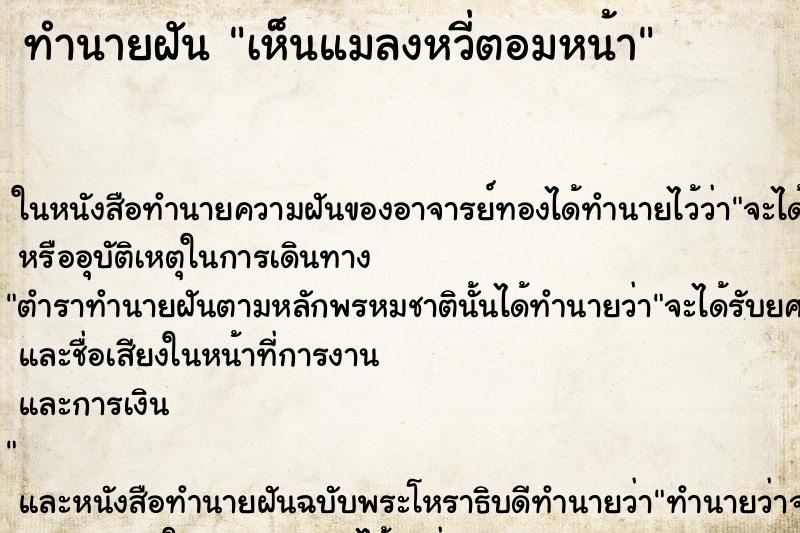ทำนายฝัน เห็นแมลงหวี่ตอมหน้า ทำนายฝัน เห็นแมลงหวี่ตอมหน้า
