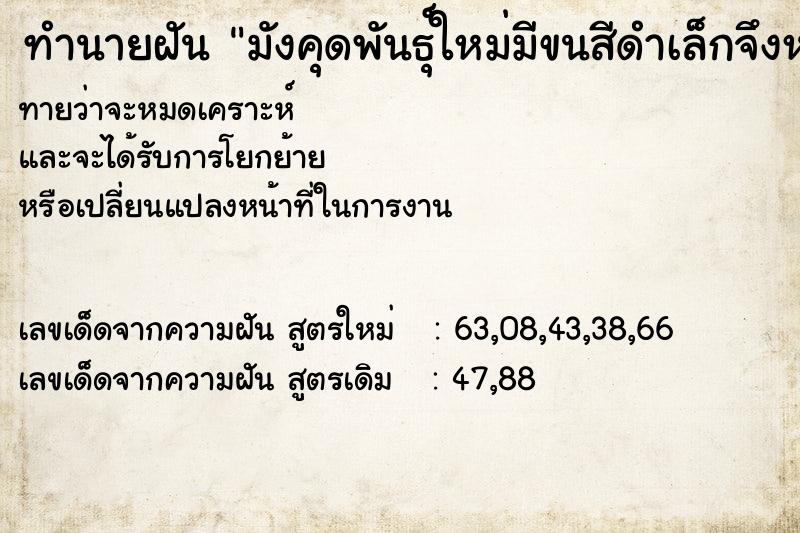 ทำนายฝันมังคุดพันธ์ุใหม่มีขนสีดำเล็กจึงหยิบมาสามลูก ทำนายฝันทำนายฝันมังคุดพันธ์ุใหม่มีขนสีดำเล็กจึงหยิบมาสามลูก