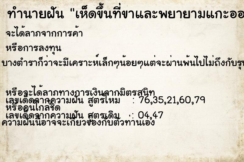 ทำนายฝัน เห็ดขึ้นที่ขาและพยายามแกะออก ทำนายฝัน เห็ดขึ้นที่ขาและพยายามแกะออก