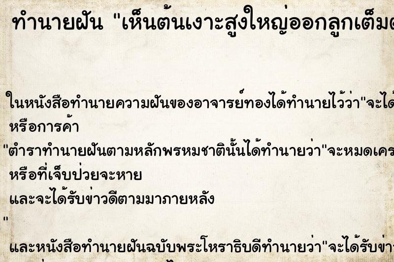 ทำนายฝัน เห็นต้นเงาะสูงใหญ่ออกลูกเต็มต้น ทำนายฝัน เห็นต้นเงาะสูงใหญ่ออกลูกเต็มต้น