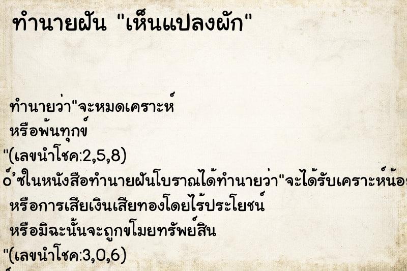 ทำนายฝัน เห็นแปลงผัก ตำราโบราณ แม่นที่สุดในโลก