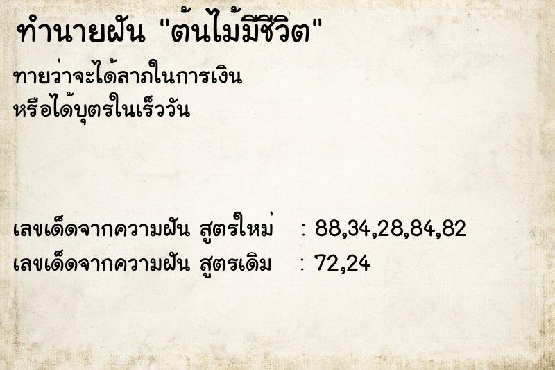 ทำนายฝันทำนายฝันต้นไม้มีชีวิต
