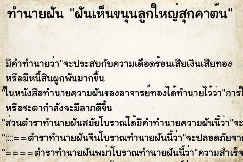 ทำนายฝัน ฝันเห็นขนุนลูกใหญ่สุกคาต้น ตำราโบราณ แม่นที่สุดในโลก