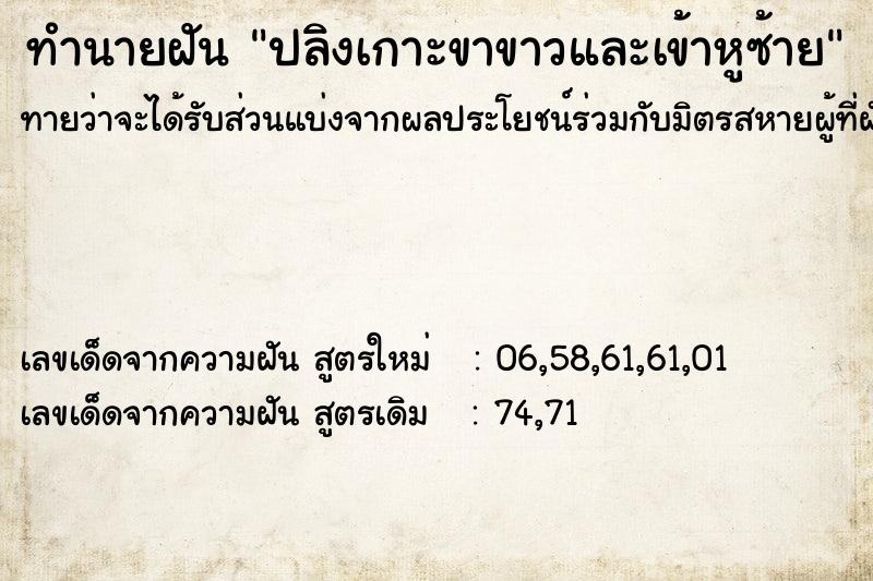 ทำนายฝัน ปลิงเกาะขาขาวและเข้าหูซ้าย ทำนายฝัน ปลิงเกาะขาขาวและเข้าหูซ้าย
