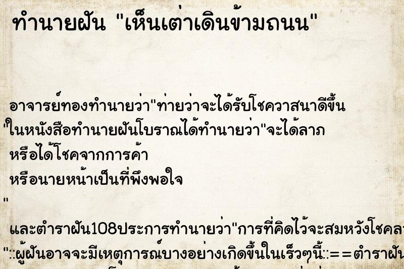 ทำนายฝัน เห็นเต่าเดินข้ามถนน ทำนายฝัน เห็นเต่าเดินข้ามถนน