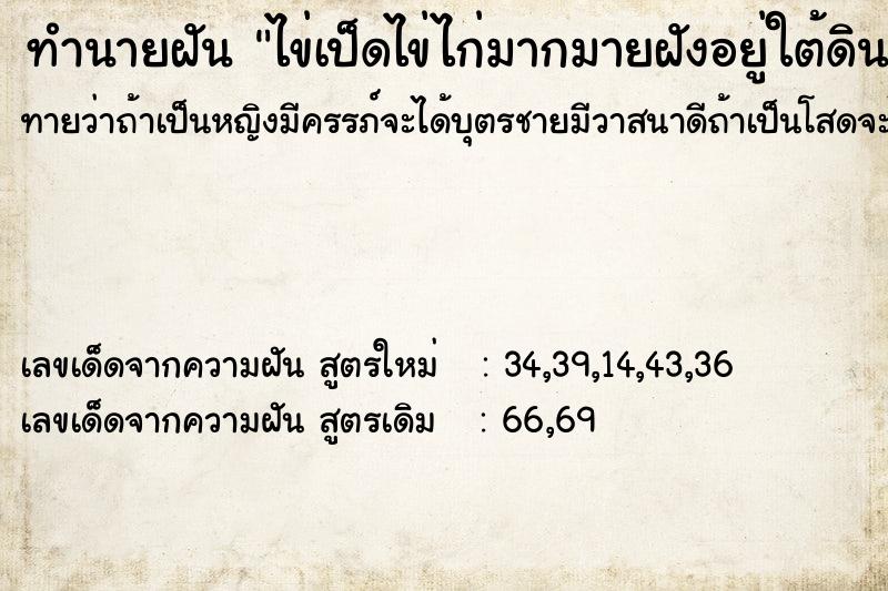 ทำนายฝันทำนายฝันไข่เป็ดไข่ไก่มากมายฝังอยู่ใต้ดิน