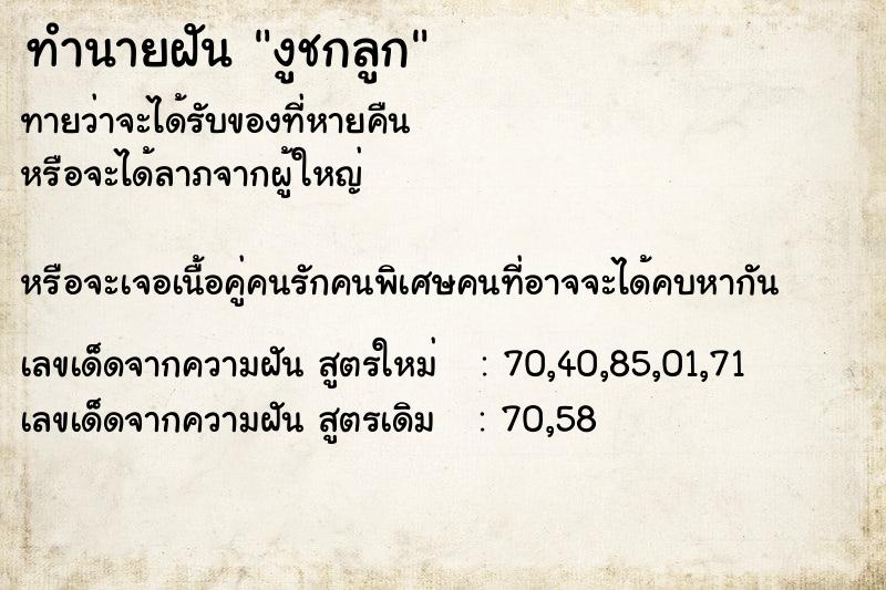 ทำนายฝันงูชกลูก ทำนายฝันทำนายฝันงูชกลูก