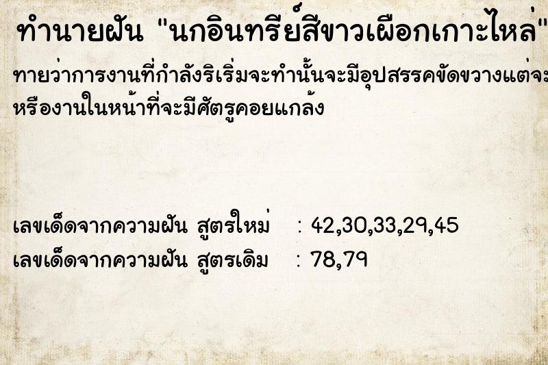 ทำนายฝันนกอินทรีย์สีขาวเผือกเกาะไหล่ ทำนายฝันทำนายฝันนกอินทรีย์สีขาวเผือกเกาะไหล่