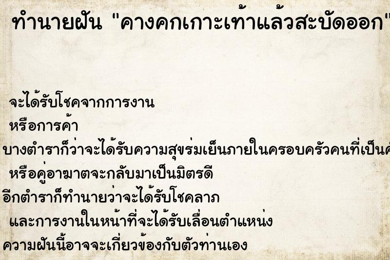 ทำนายฝันคางคกเกาะเท้าแล้วสะบัดออก ทำนายฝันทำนายฝันคางคกเกาะเท้าแล้วสะบัดออก
