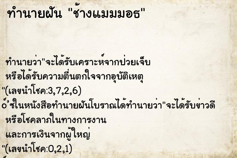 ทำนายฝันช้างแมมมอธ ทำนายฝันทำนายฝันช้างแมมมอธ