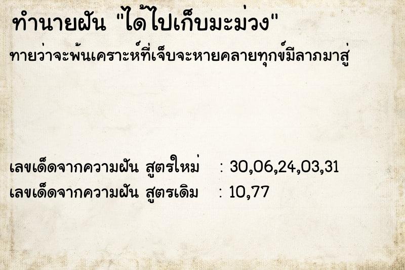 ทำนายฝันทำนายฝันได้ไปเก็บมะม่วง