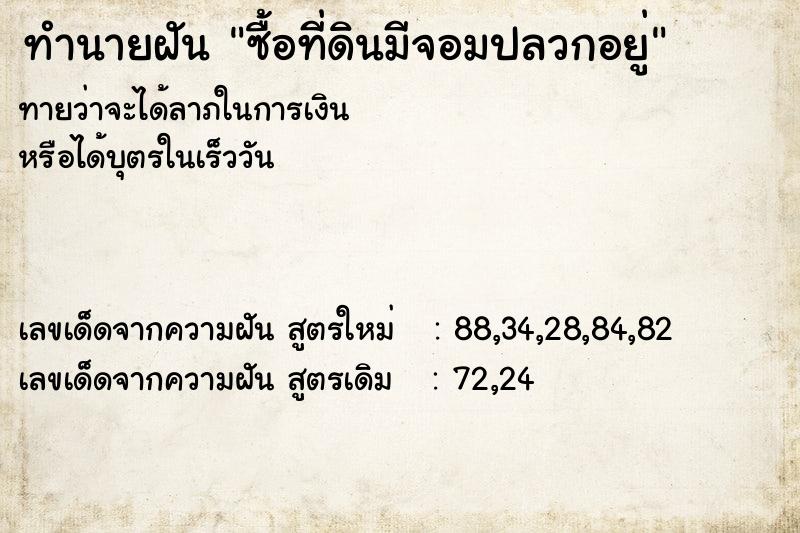 ทำนายฝันทำนายฝันซื้อที่ดินมีจอมปลวกอยู่
