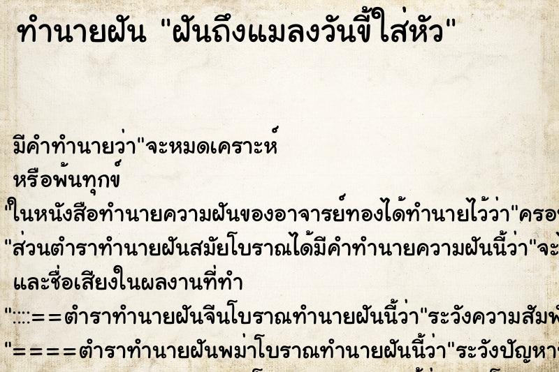 ทำนายฝันฝันถึงแมลงวันขี้ใส่หัว ทำนายฝันทำนายฝันฝันถึงแมลงวันขี้ใส่หัว