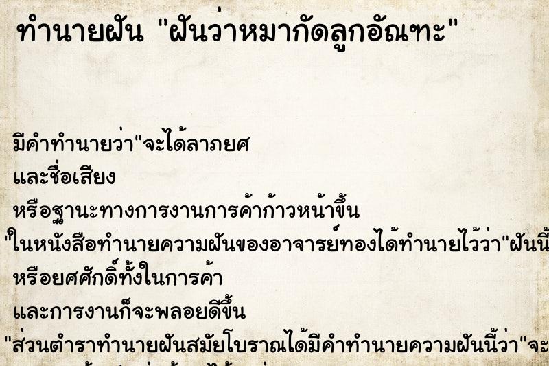 ทำนายฝัน ฝันว่าหมากัดลูกอัณฑะ ตำราโบราณ แม่นที่สุดในโลก