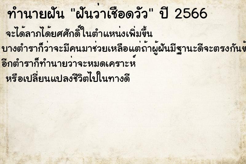 ทำนายฝันฝันว่าเชือดวัว ทำนายฝันทำนายฝันฝันว่าเชือดวัว