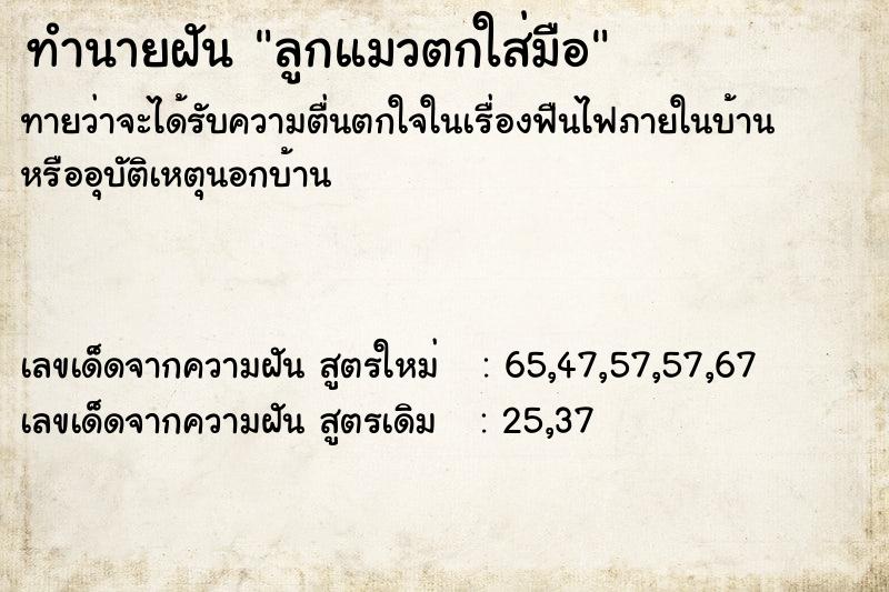 ทำนายฝันทำนายฝันลูกแมวตกใส่มือ