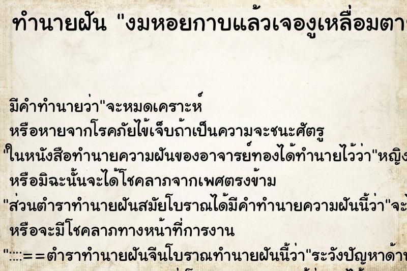 ทำนายฝัน งมหอยกาบแล้วเจองูเหลื่อมตายในน้ำ ทำนายฝัน งมหอยกาบแล้วเจองูเหลื่อมตายในน้ำ